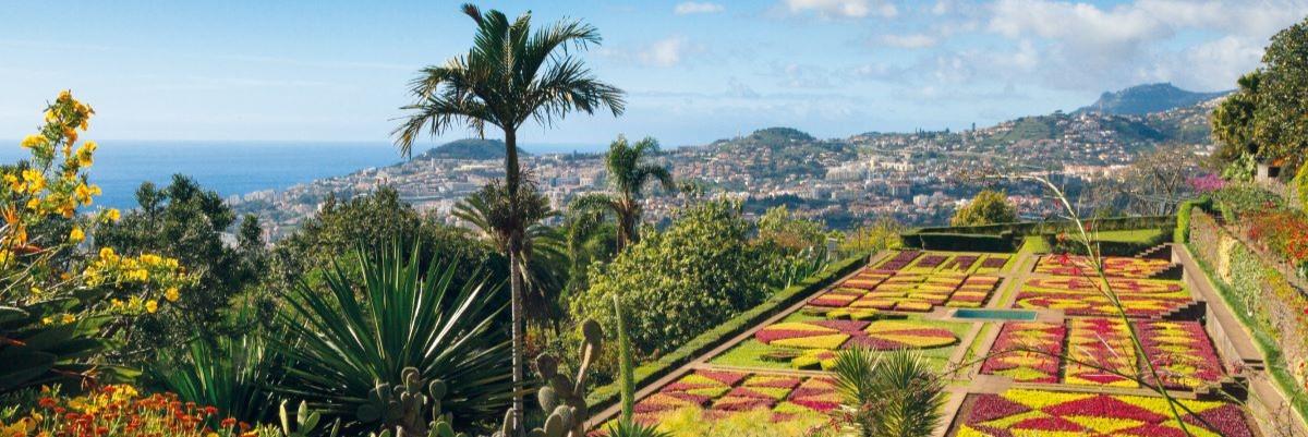 Exclusively for Solo Travelers - Madeira - The Pearl of the Atlantic